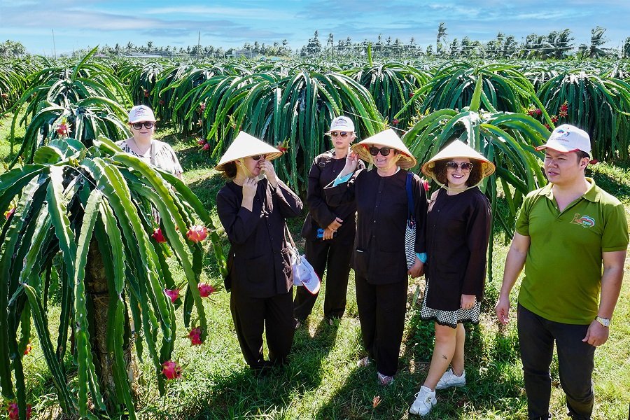 Du khách nước ngoài tham quan trang trại trồng thanh long ở xã Hàm Thuận. Du khách nước ngoài tham quan trang trại trồng thanh long ở xã Hàm Thuận.