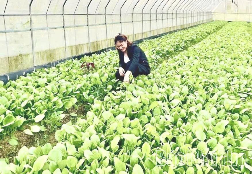 Hệ thống nh&agrave; m&agrave;ng, nh&agrave; lưới c&ugrave;ng việc ứng dụng tự động h&oacute;a đ&atilde; gi&uacute;p HTX N&ocirc;ng nghiệp dịch vụ v&agrave; cung ứng thực phẩm Đ&agrave; Bắc - x&atilde; Đ&agrave; Bắc n&acirc;ng cao hiệu quả sản xuất.