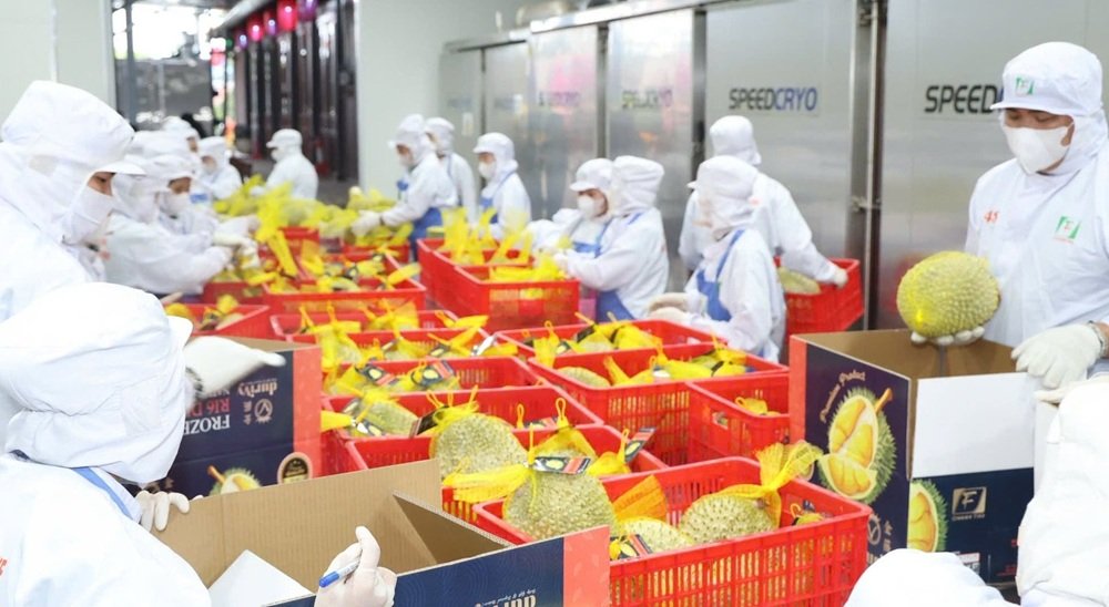 Xuất khẩu rau quả Việt Nam tăng trưởng mạnh nhờ nguồn cung dồi d&agrave;o v&agrave; sự mở rộng của nhiều thị trường ti&ecirc;u thụ. Ảnh: VPG