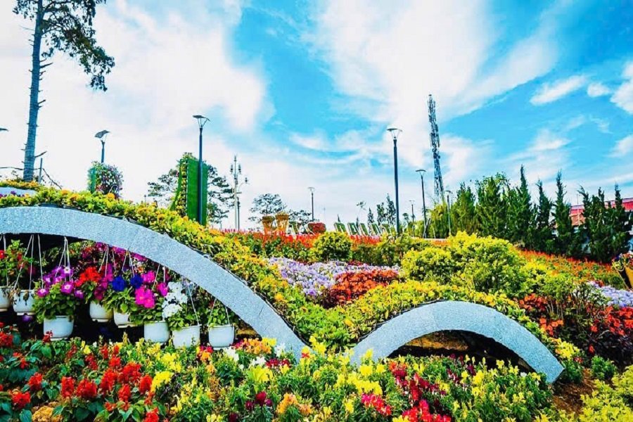 Đ&acirc;y cũng l&agrave; dịp để người trồng, sản xuất, kinh doanh hoa, rau v&agrave; c&aacute;c loại n&ocirc;ng sản đặc th&ugrave; của L&acirc;m Đồng giao lưu, trao đổi, t&igrave;m kiếm cơ hội hợp t&aacute;c v&agrave; mở rộng thị trường trong xu hướng hội nhập, xanh v&agrave; bền vững.