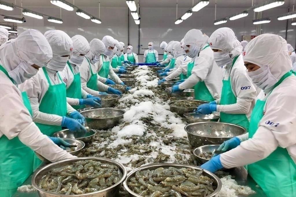 Xuất khẩu t&ocirc;m, c&aacute; tra sang Mỹ giảm s&acirc;u