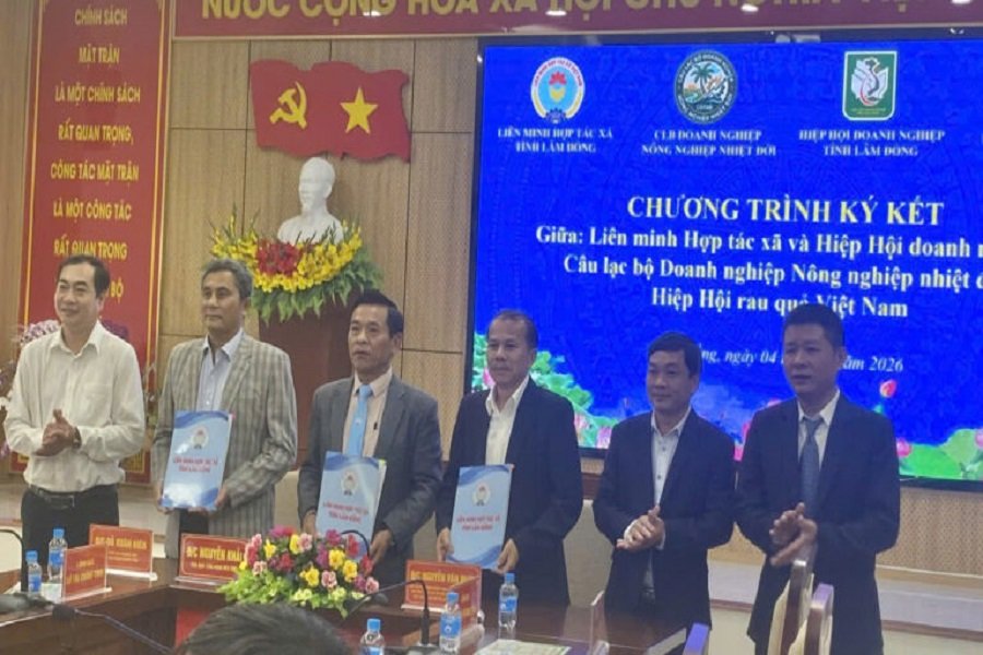 Thỏa thuận hợp t&aacute;c ba b&ecirc;n giữa Li&ecirc;n minh Hợp t&aacute;c x&atilde;, Hiệp hội Doanh nghiệp, C&acirc;u lạc bộ Doanh nghiệp N&ocirc;ng nghiệp Nhiệt đới v&agrave; Hiệp hội Rau quả Việt Nam.