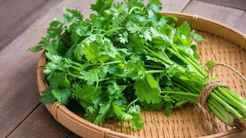 Rau mùi là một vị thuốc tự nhiên sở hữu bảng thành phần dinh dưỡng vô cùng ấn tượng. (Ảnh: VietNamNet) Rau mùi là một vị thuốc tự nhiên sở hữu bảng thành phần dinh dưỡng vô cùng ấn tượng. (Ảnh: VietNamNet)