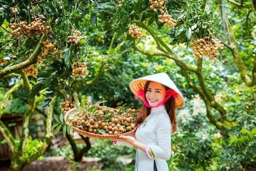 M&ugrave;a nh&atilde;n tại Hưng Y&ecirc;n