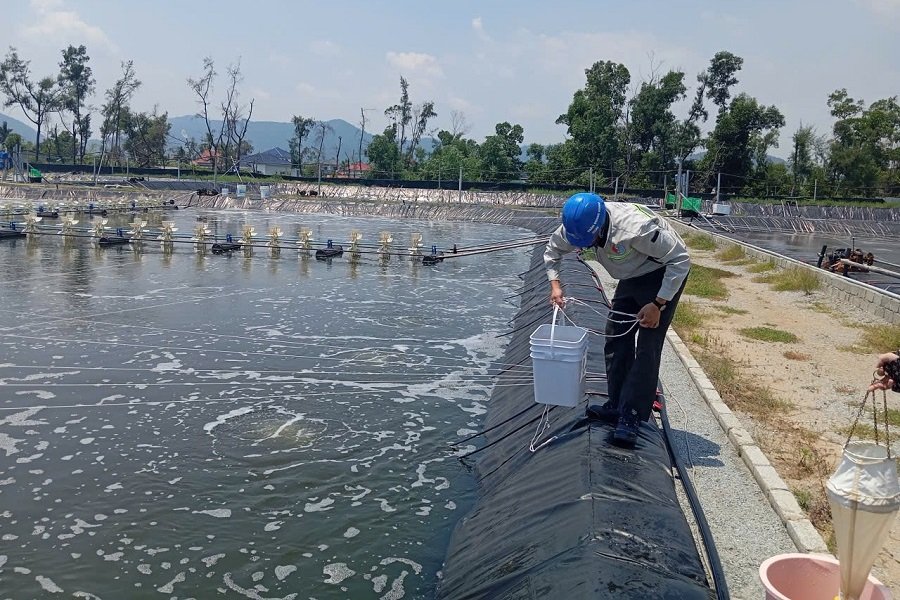C&aacute;n bộ Chi cục Thủy sản H&agrave; Tĩnh thường xuy&ecirc;n kiểm tra, hỗ trợ người nu&ocirc;i trồng thủy sản