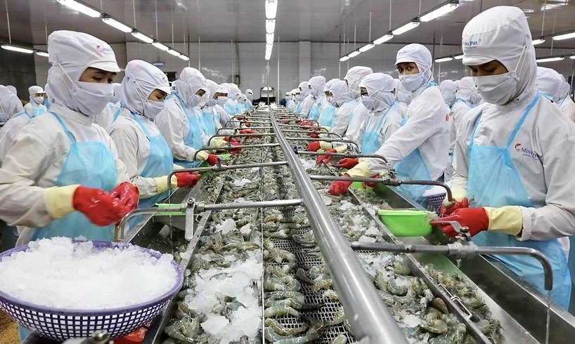Doanh nghiệp thủy sản C&agrave; Mau đẩy mạnh chế biến, n&acirc;ng cao ti&ecirc;u chuẩn v&agrave; tận dụng ưu đ&atilde;i từ c&aacute;c FTA để mở rộng thị trường xuất khẩu. Ảnh: Sở C&ocirc;ng Thương tỉnh C&agrave; Mau