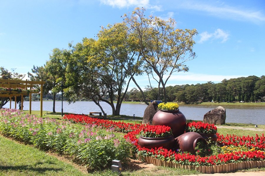 Festival Hoa lu&ocirc;n c&oacute; sức hấp dẫn đặc biệt bởi vẻ đẹp của hoa.