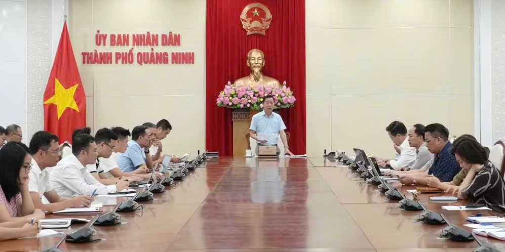 Ông Lê Văn Ánh, Phó Chủ tịch UBND thành phố Quảng Ninh, phát biểu chỉ đạo tại cuộc họp Ông Lê Văn Ánh, Phó Chủ tịch UBND thành phố Quảng Ninh, phát biểu chỉ đạo tại cuộc họp