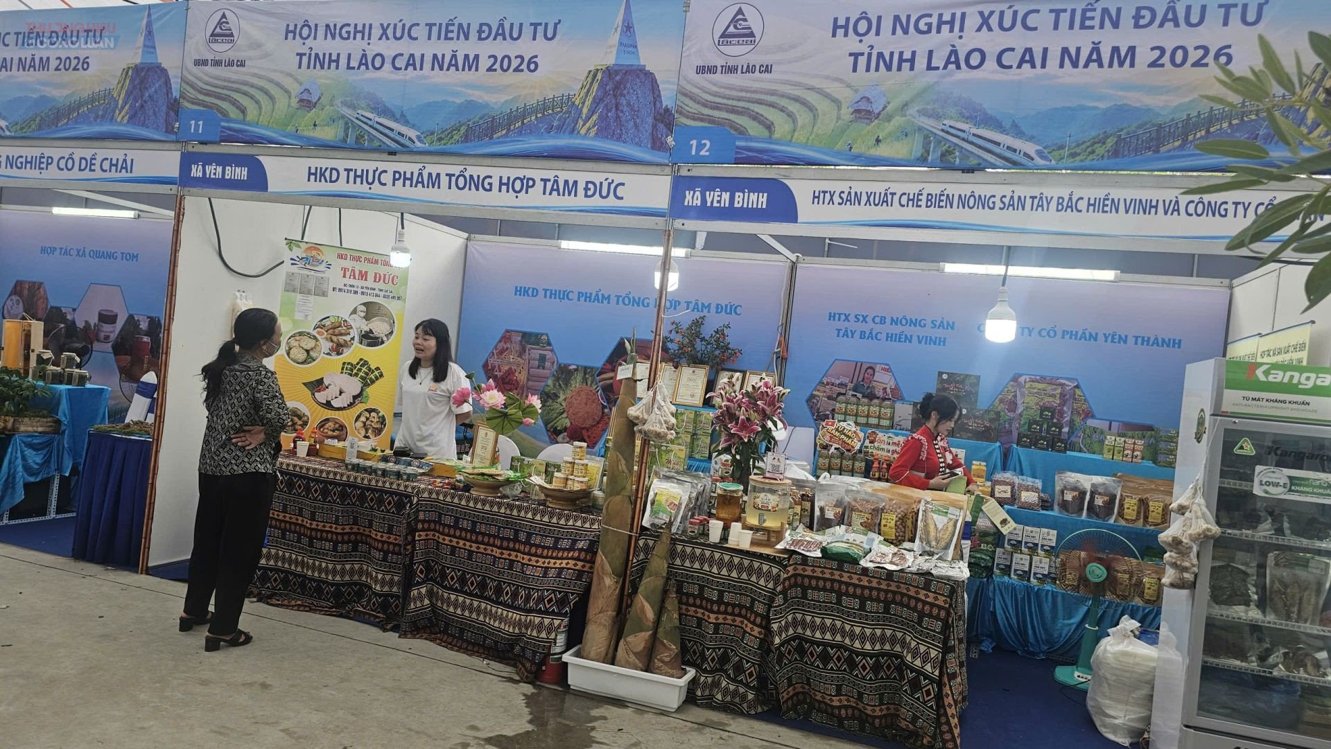 Doanh thu b&igrave;nh qu&acirc;n của một HTX tại L&agrave;o Cai ước đạt khoảng 1,969 tỷ đồng/năm, lợi nhuận b&igrave;nh qu&acirc;n đạt 396 triệu đồng/năm.