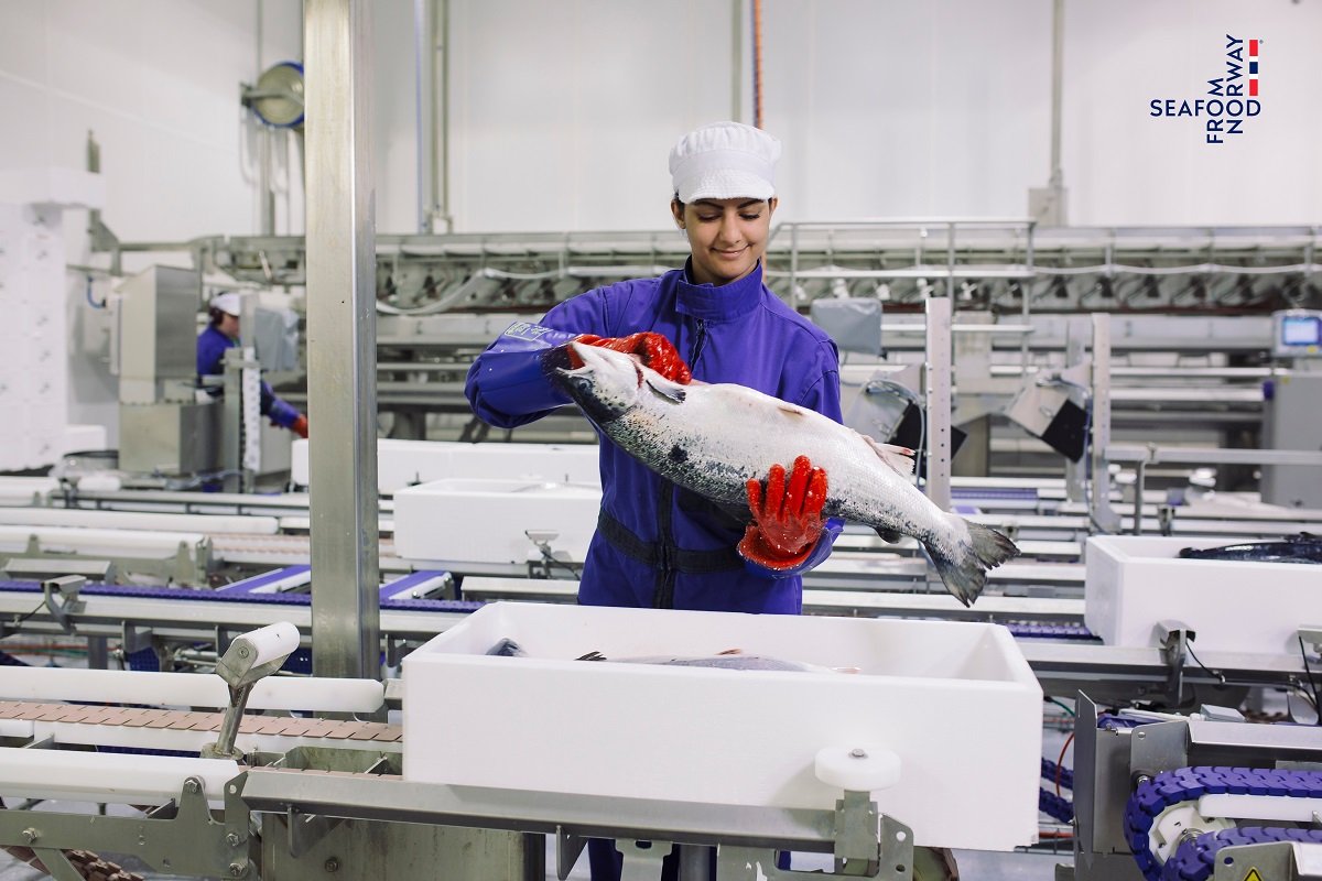 B&ecirc;n trong khu vực nh&agrave; m&aacute;y xử l&yacute; c&aacute; hồi Na Uy với quy tr&igrave;nh hiện đại v&agrave; nghi&ecirc;m ngặt. (Ảnh NSC)jpg