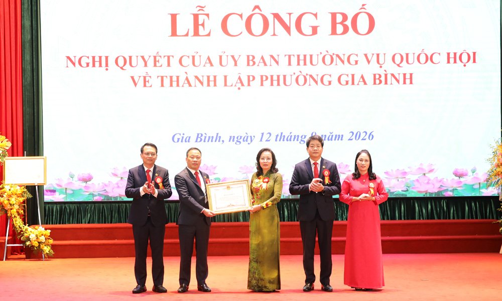 Đồng ch&iacute; Nguyễn Thị Hương trao Bằng khen của Chủ tịch UBND tỉnh cho Đảng bộ, ch&iacute;nh quyền v&agrave; Nh&acirc;n d&acirc;n x&atilde; Gia B&igrave;nh.