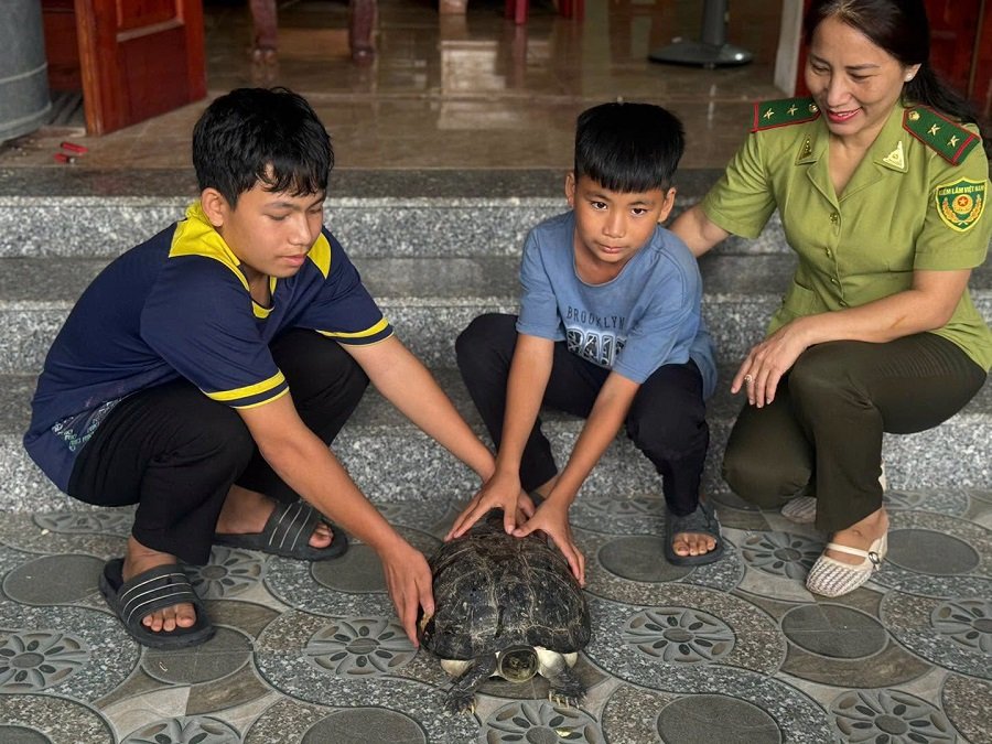 Cá thể rùa răng được Nhân và Khanh phát hiện giải cứu và đưa về chăm sóc Cá thể rùa răng được Nhân và Khanh phát hiện giải cứu và đưa về chăm sóc