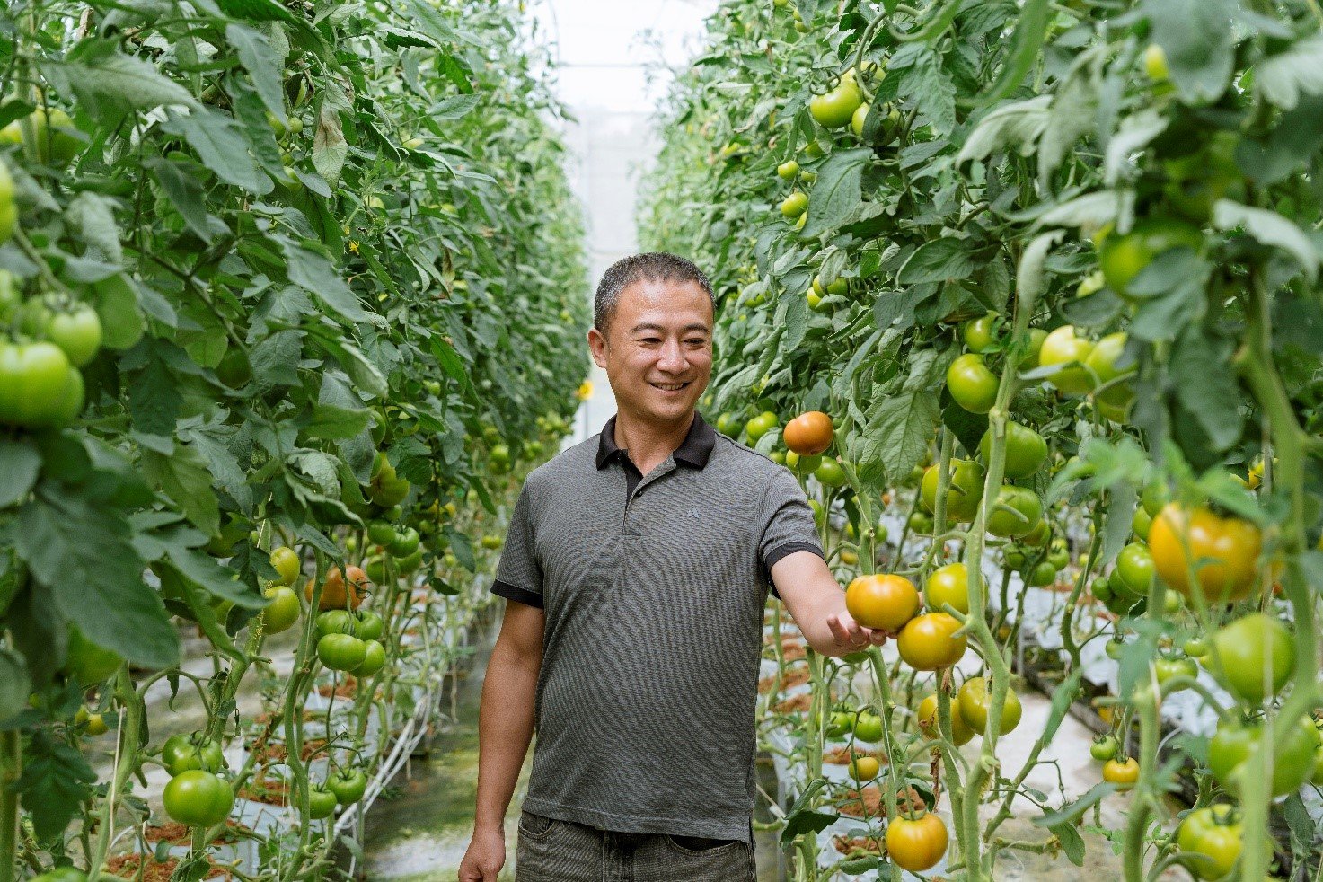 Khách hàng của BIDV với mô hình nông nghiệp hữu cơ tại Lâm Hà Khách hàng của BIDV với mô hình nông nghiệp hữu cơ tại Lâm Hà