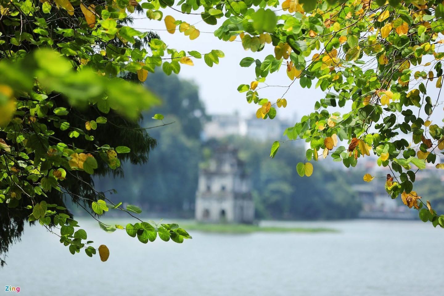 Sắc l&aacute; bắt đầu chuyển m&agrave;u b&ecirc;n hồ Gươm, ph&iacute;a xa l&agrave; Th&aacute;p R&ugrave;a trầm mặc giữa kh&ocirc;ng gian dịu nhẹ của những ng&agrave;y thu.