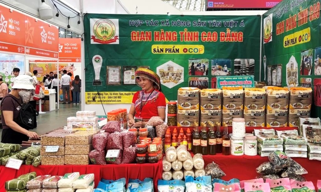 C&aacute;c sản phẩm đặc sản Cao Bằng ng&agrave;y c&agrave;ng được ch&uacute; trọng chuẩn h&oacute;a quy tr&igrave;nh sản xuất, bao b&igrave;, nh&atilde;n m&aacute;c v&agrave; x&acirc;y dựng thương hiệu.