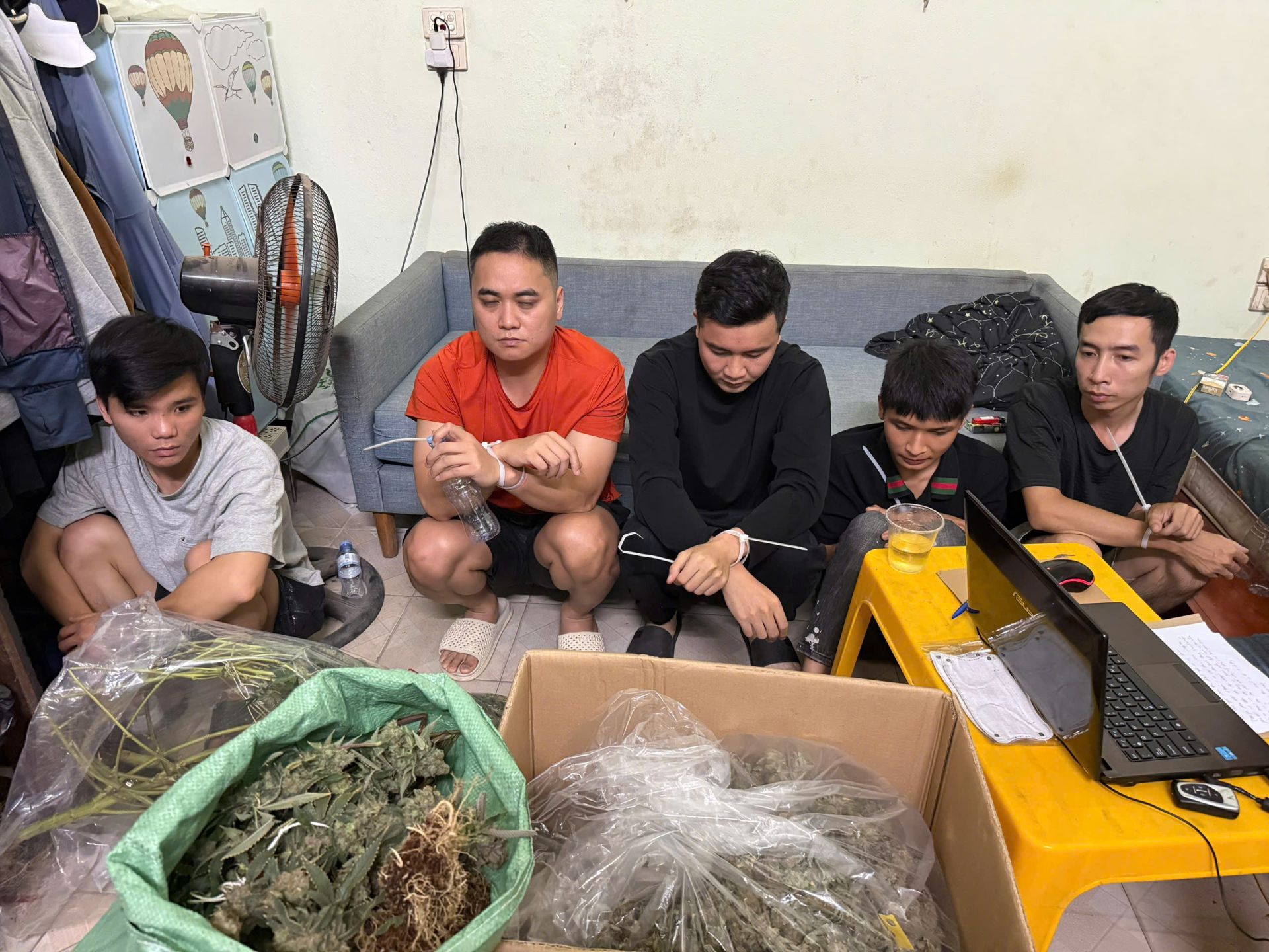 Nh&oacute;m đối tượng trồng c&acirc;y cần sa v&agrave; mua b&aacute;n tr&aacute;i ph&eacute;p ma tu&yacute; l&agrave; cần sa tr&ecirc;n kh&ocirc;ng gian mạng bị Cơ quan điều tra bắt giữ, khởi tố. Ảnh: C&ocirc;ng an Hưng Y&ecirc;n