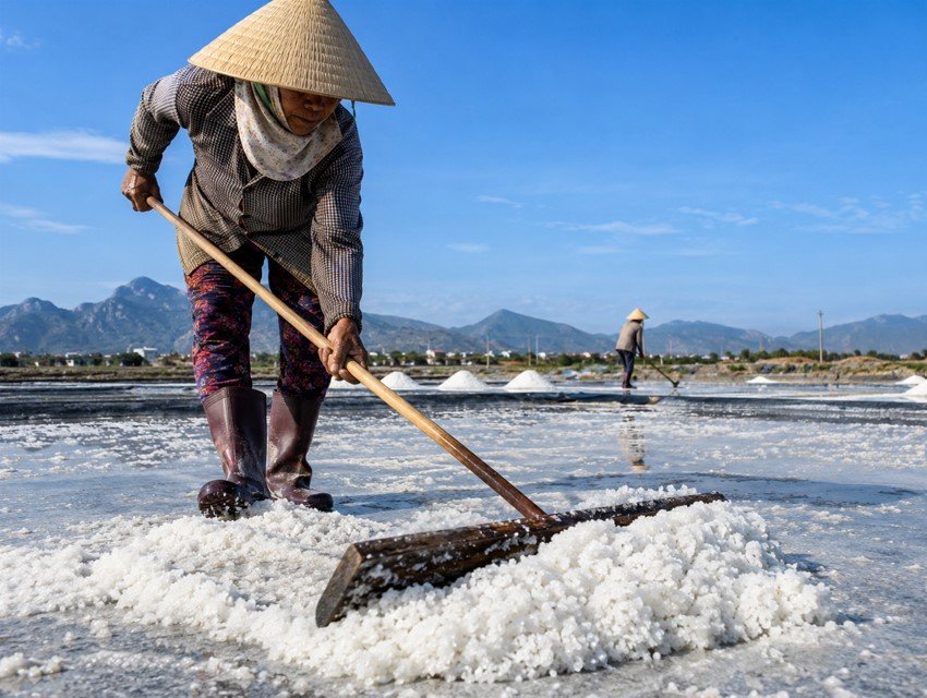 Diêm dân Ninh Thuận lao động trên cánh đồng muối Diêm dân Ninh Thuận lao động trên cánh đồng muối