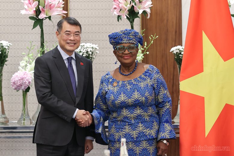 Thủ tướng Lê Minh Hưng tiếp Tổng Giám đốc Tổ chức Thương mại thế giới (WTO) Ngozi Okonjo-Iweala - Ảnh: chinhphu.vn/Nhật Bắc Thủ tướng Lê Minh Hưng tiếp Tổng Giám đốc Tổ chức Thương mại thế giới (WTO) Ngozi Okonjo-Iweala - Ảnh: chinhphu.vn/Nhật Bắc