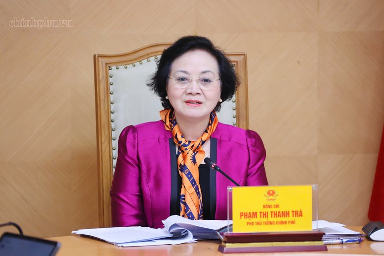 Ph&oacute; Thủ tướng Phạm Thị Thanh Tr&agrave; ph&aacute;t biểu tại buổi l&agrave;m việc - Ảnh: chinhphu.vn/Thu Giang