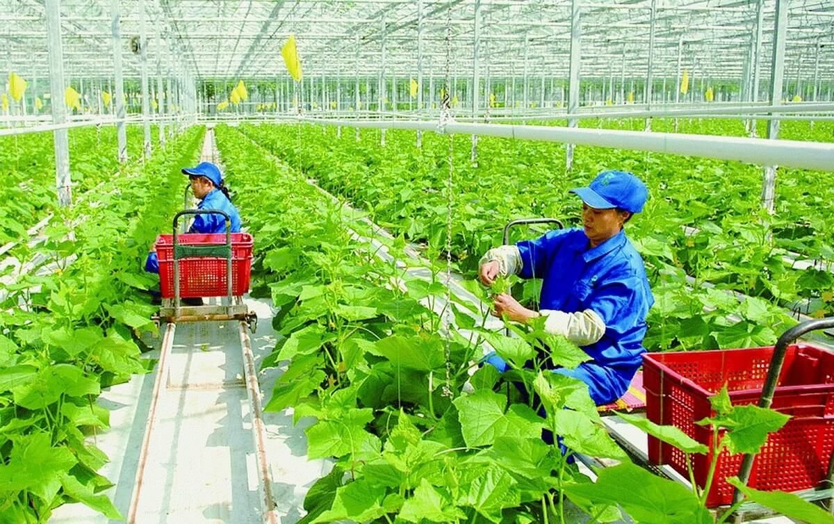 Sản xuất theo hướng sinh thái giúp nông dân giảm chi phí, thích ứng với biến đổi khí hậu và hướng tới những thị trường có giá trị cao. Sản xuất theo hướng sinh thái giúp nông dân giảm chi phí, thích ứng với biến đổi khí hậu và hướng tới những thị trường có giá trị cao.