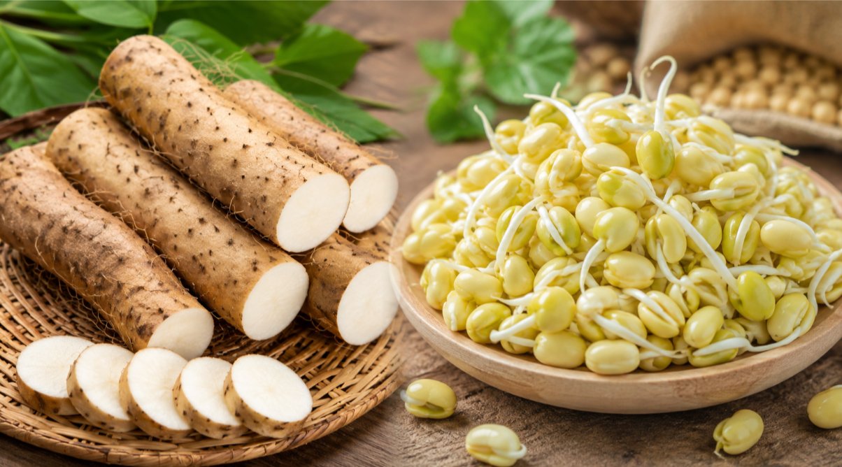 Củ mài và mầm đậu nành là những nguyên liệu được quan tâm trong các giải pháp hỗ trợ nội tiết nữ từ thiên nhiên. Củ mài và mầm đậu nành là những nguyên liệu được quan tâm trong các giải pháp hỗ trợ nội tiết nữ từ thiên nhiên.