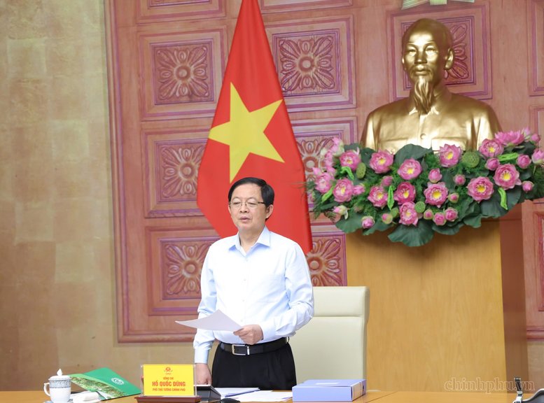 Ph&oacute; Thủ tướng Hồ Quốc Dũng chủ tr&igrave; cuộc họp Hội đồng thẩm định điều chỉnh Quy hoạch l&acirc;m nghiệp thời kỳ 2021-2030, tầm nh&igrave;n đến năm 2050 - Ảnh: chinhphu.vn/Gia Huy