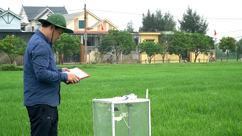 Cán bộ Chi cục Trồng trọt và Bảo vệ thực vật tỉnh ghi chép các thông số đo. Cán bộ Chi cục Trồng trọt và Bảo vệ thực vật tỉnh ghi chép các thông số đo.