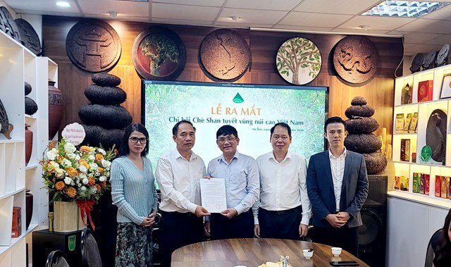 Ban Chấp h&agrave;nh l&acirc;m thời Chi hội Ch&egrave; Shan Tuyết v&ugrave;ng n&uacute;i cao Việt Nam ra mắt, thể hiện quyết t&acirc;m tăng cường li&ecirc;n kết v&agrave; n&acirc;ng cao gi&aacute; trị ch&egrave; Shan tuyết