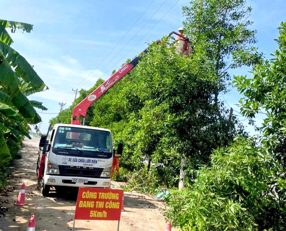 Điện lực Kim Sơn ph&aacute;t quan h&agrave;nh lang lưới điện trước m&ugrave;a mưa b&atilde;o