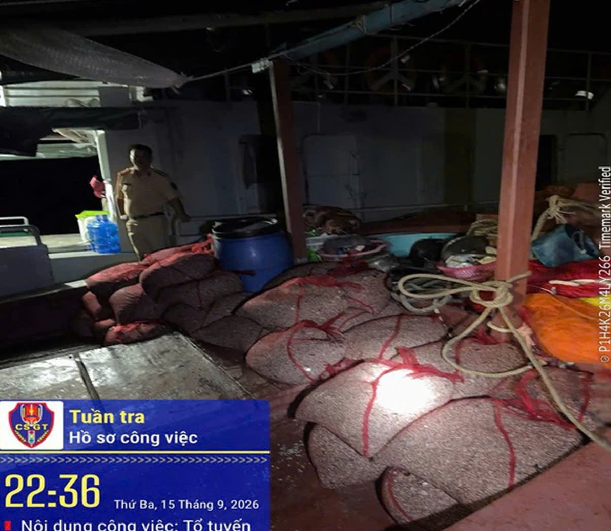 Khoảng 1,8 tấn nhuyễn thể được ph&aacute;t hiện tr&ecirc;n 5 t&agrave;u khai th&aacute;c thủy sản tr&aacute;i ph&eacute;p tại Vịnh Hạ Long. (Ảnh: CAQN)