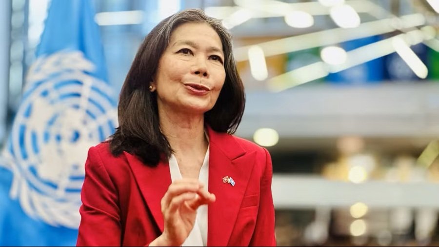 Điều phối viên thường trú của Liên hợp quốc tại Việt Nam Pauline Tamesis trả lời phỏng vấn của phóng viên Thông tấn xã Việt Nam. (Ảnh: Việt Đức/TTXVN) Điều phối viên thường trú của Liên hợp quốc tại Việt Nam Pauline Tamesis trả lời phỏng vấn của phóng viên Thông tấn xã Việt Nam. (Ảnh: Việt Đức/TTXVN)
