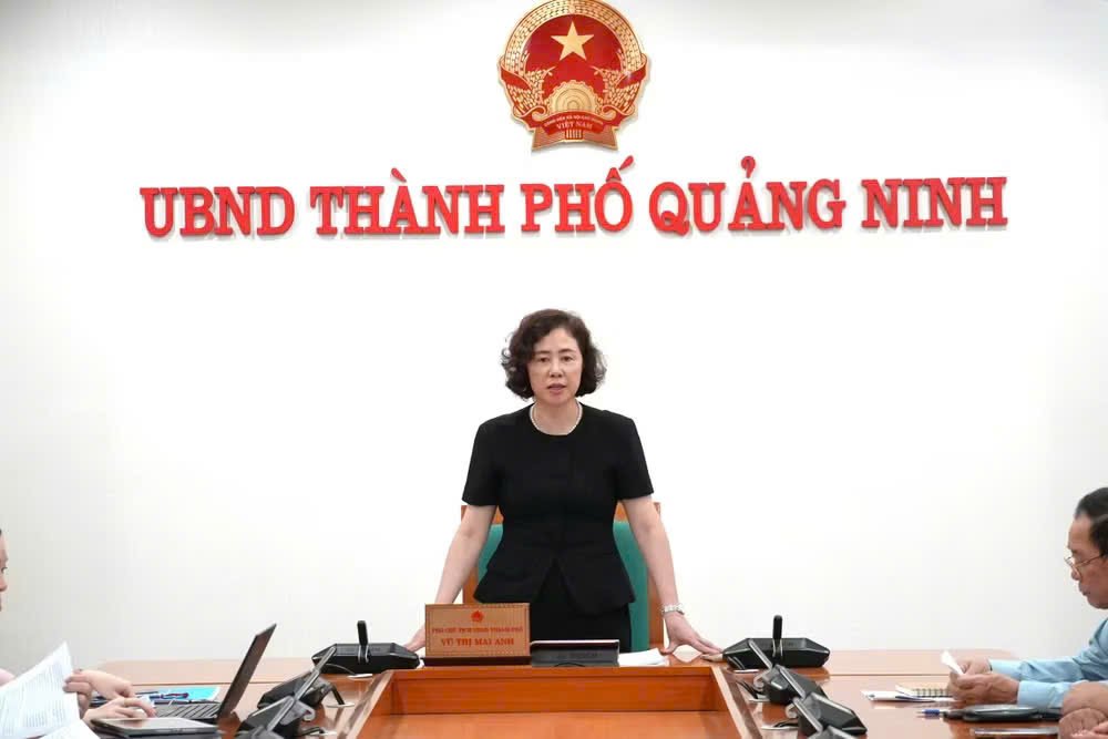Phó Chủ tịch UBND thành phố Vũ Thị Mai Anh phát biểu tại buổi làm việc Phó Chủ tịch UBND thành phố Vũ Thị Mai Anh phát biểu tại buổi làm việc