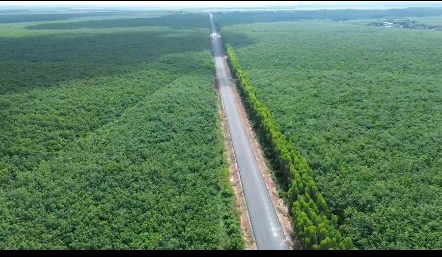 Giá cao su hôm nay 21/9: Biến động trái chiều Giá cao su hôm nay 21/9: Biến động trái chiều