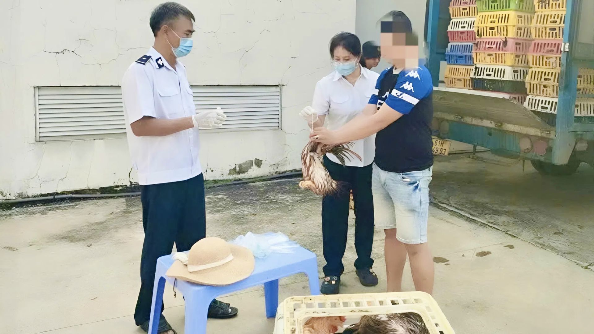 Lực lượng chức năng kiểm tra xe tải chở gà trên Quốc lộ 1A, đoạn qua phường Linh Xuân, TP.HCM. Lực lượng chức năng kiểm tra xe tải chở gà trên Quốc lộ 1A, đoạn qua phường Linh Xuân, TP.HCM.
