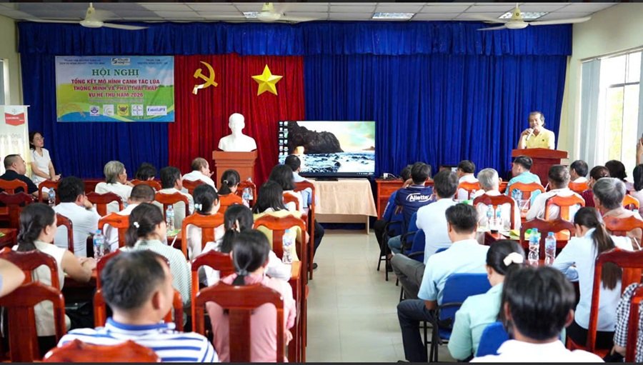 To&agrave;n cảnh hội tổng kết m&ocirc; h&igrave;nh canh t&aacute;c l&uacute;a th&ocirc;ng minh, ph&aacute;t thải thấp tại T&acirc;y Ninh