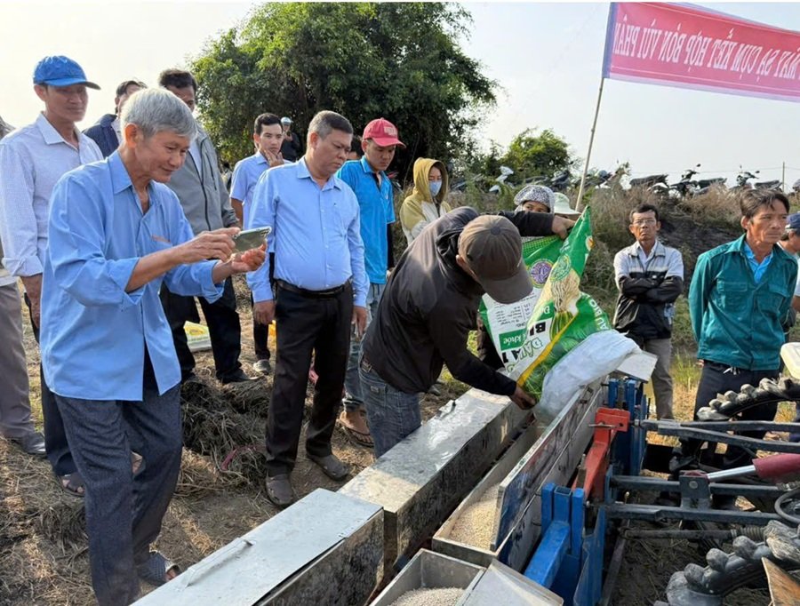 M&aacute;y sạ cụm kết hợp b&oacute;n v&ugrave;i ph&acirc;n Đầu Tr&acirc;u tr&ecirc;n ruộng m&ocirc; h&igrave;nh