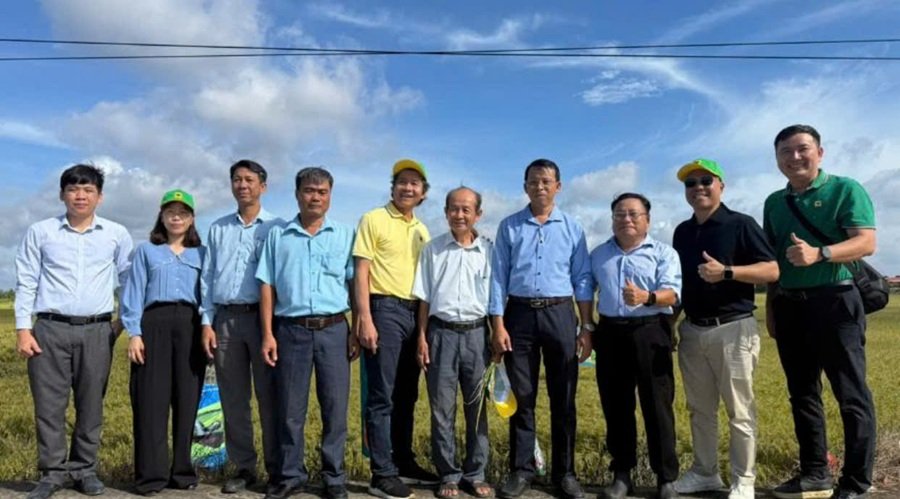 Đại diện B&igrave;nh Điền v&agrave; c&aacute;c doanh nghiệp đồng h&agrave;nh thăm ruộng m&ocirc; h&igrave;nh