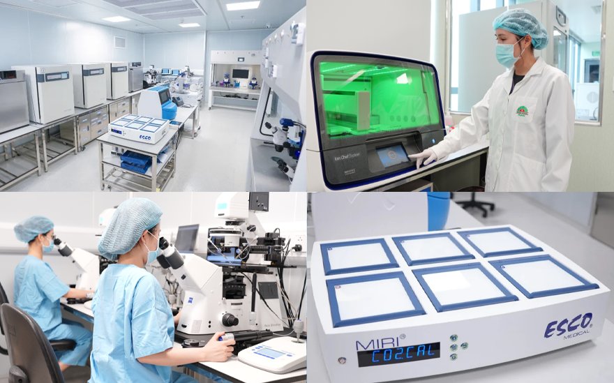 IVF Hồng Ngọc làm chủ các công nghệ hỗ trợ sinh sản tiên tiến IVF Hồng Ngọc làm chủ các công nghệ hỗ trợ sinh sản tiên tiến
