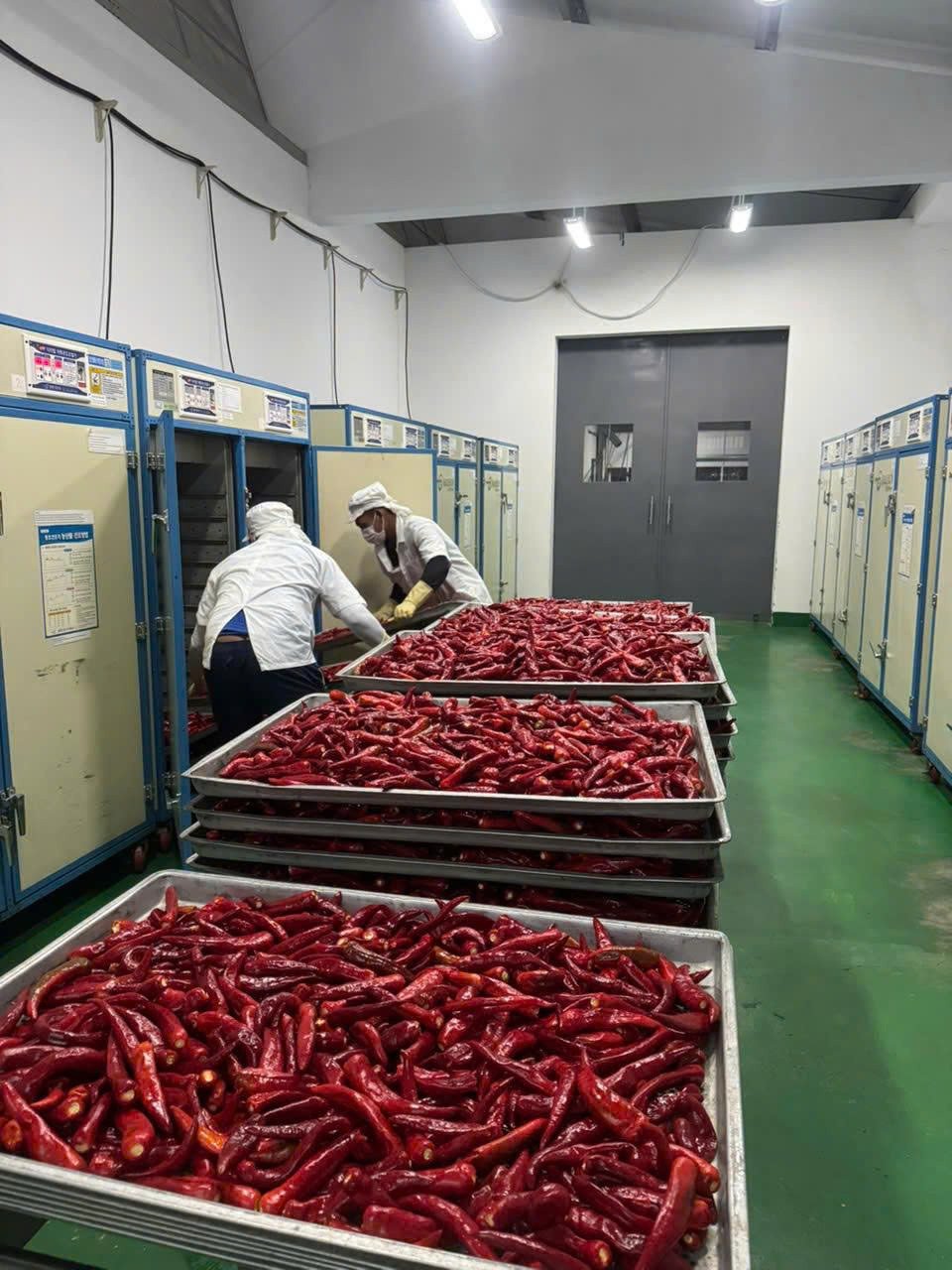 Hợp t&aacute;c x&atilde; Tầm Ng&acirc;n (Khánh Hòa) n&acirc;ng cao năng lực sản xuất, ho&agrave;n thiện cơ sở vật chất v&agrave; tạo nền tảng vững chắc để HTX từng bước tự chủ vận h&agrave;nh theo cơ chế thị trường.