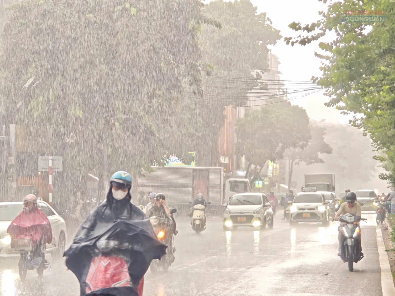 Mưa dông tiếp tục xuất hiện trên diện rộng tại nhiều tỉnh, thành khu vực Trung Bộ trong ngày 23/9. Mưa dông tiếp tục xuất hiện trên diện rộng tại nhiều tỉnh, thành khu vực Trung Bộ trong ngày 23/9.