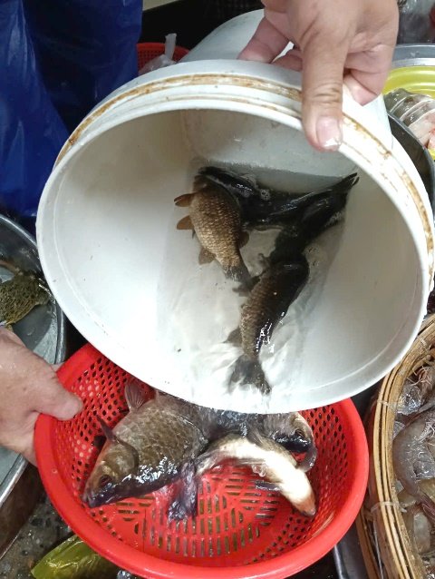 Thịt c&aacute; diếc sạch v&agrave; thơm ngon, chứa nhiều đạm v&agrave; chất kho&aacute;ng.