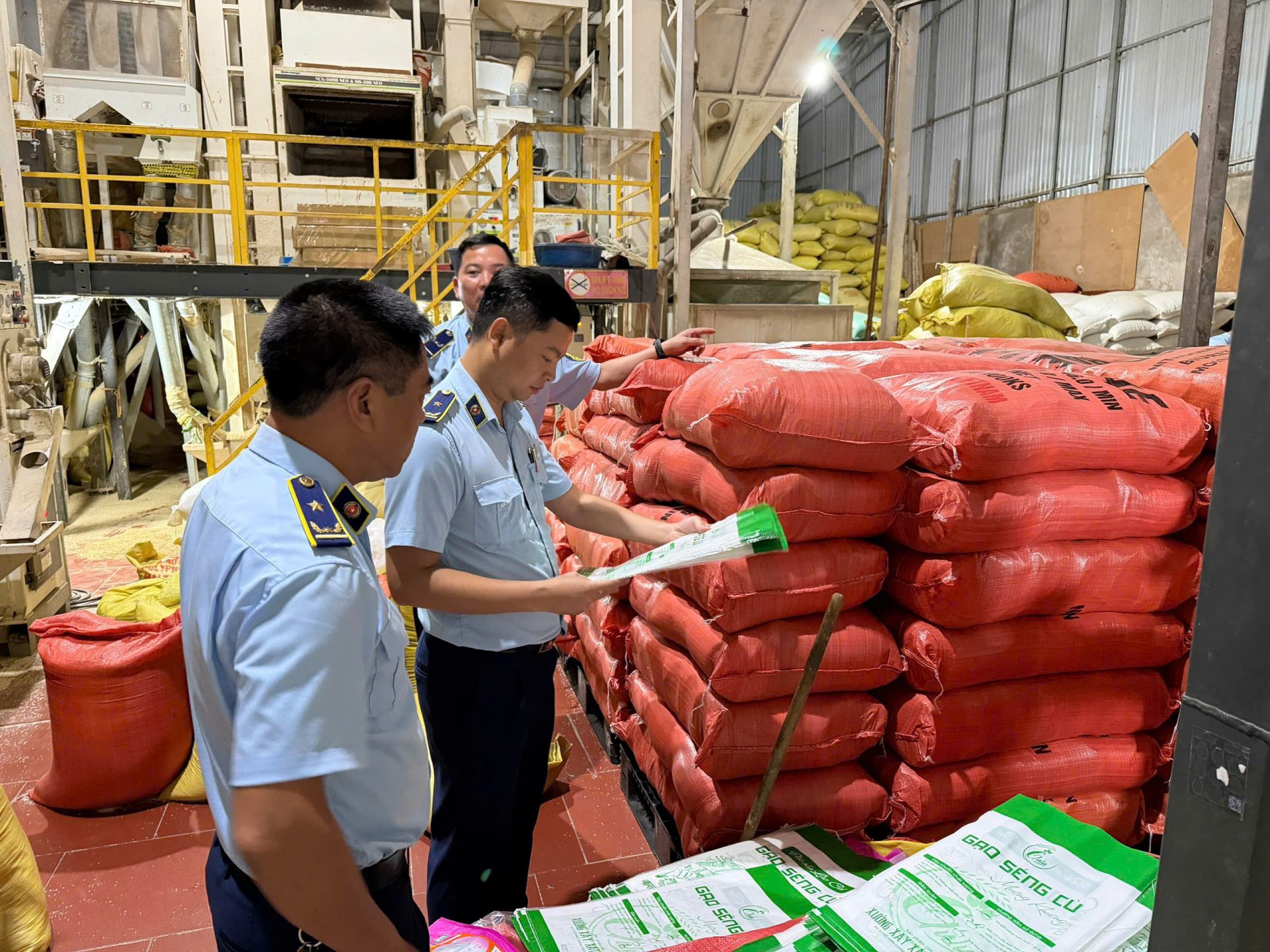 Lực lượng QLTT kiểm tra sản xuất gạo giả mạo nhãn hiệu Séng Cù Mường Khương Lực lượng QLTT kiểm tra sản xuất gạo giả mạo nhãn hiệu Séng Cù Mường Khương