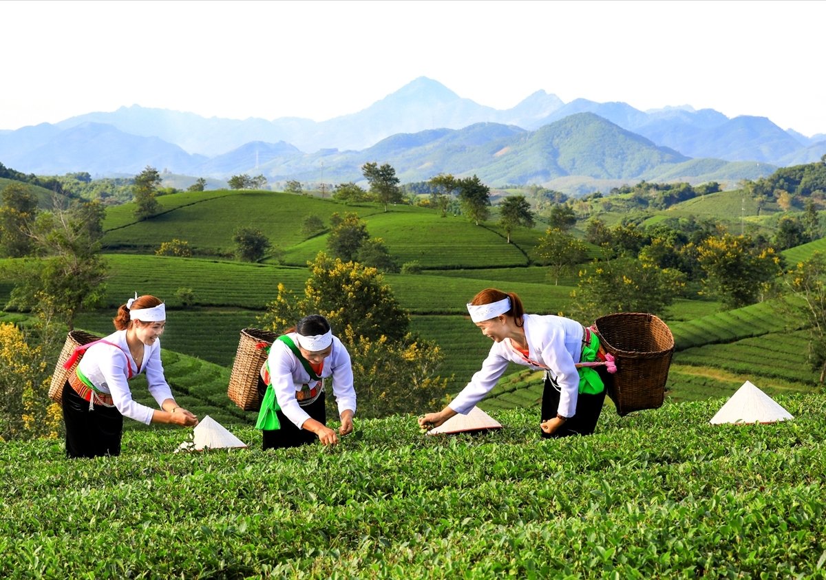 Tại nhiều điểm đến, sản phẩm OCOP đang được đưa v&agrave;o h&agrave;nh tr&igrave;nh trải nghiệm như một c&aacute;ch gi&uacute;p du kh&aacute;ch hiểu r&otilde; hơn về sản vật v&agrave; đời sống địa phương. Ảnh minh hoạ (Internet)