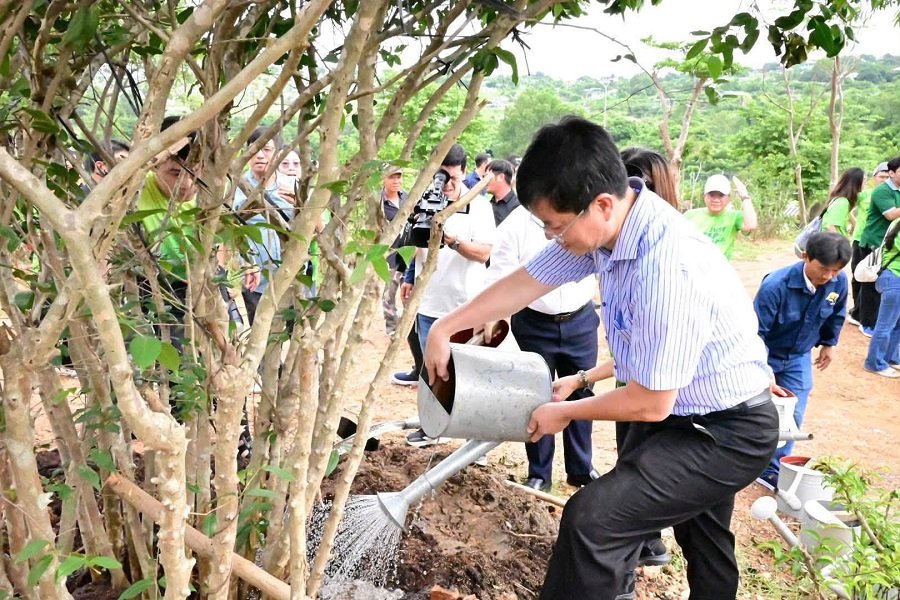 Ông Nguyễn Hồng Hải, Phó Chủ tịch Thường trực UBND tỉnh Lâm Đồng chăm sóc bằng lăng sau khi trồng. Ông Nguyễn Hồng Hải, Phó Chủ tịch Thường trực UBND tỉnh Lâm Đồng chăm sóc bằng lăng sau khi trồng.