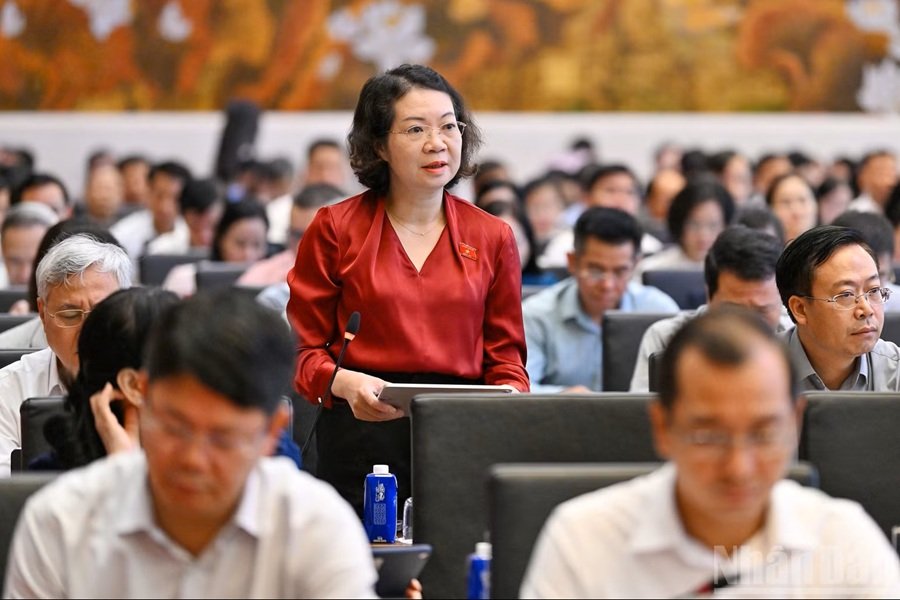 Đại biểu Mai Thị Phương Hoa (Đo&agrave;n Ninh B&igrave;nh) ph&aacute;t biểu. (Ảnh: THỦY NGUY&Ecirc;N)
