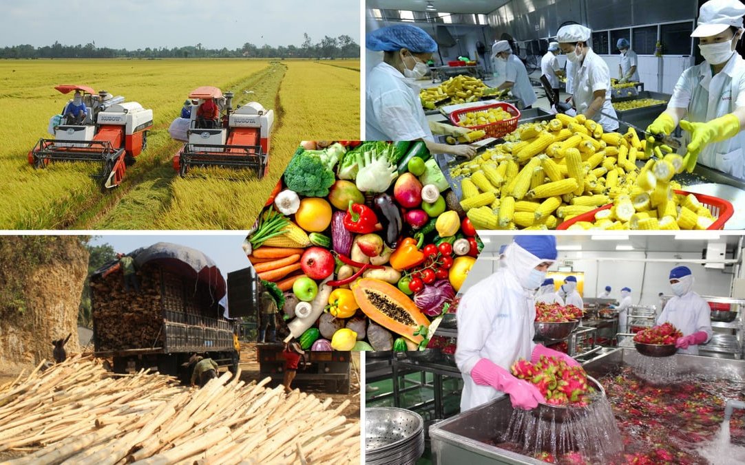 Sở N&ocirc;ng nghiệp v&agrave; M&ocirc;i trường H&agrave; Nội, từ đầu năm 2026 đến nay, Sở đ&atilde; tiến h&agrave;nh lấy 704 mẫu thực phẩm n&ocirc;ng, l&acirc;m, thủy sản để gi&aacute;m s&aacute;t