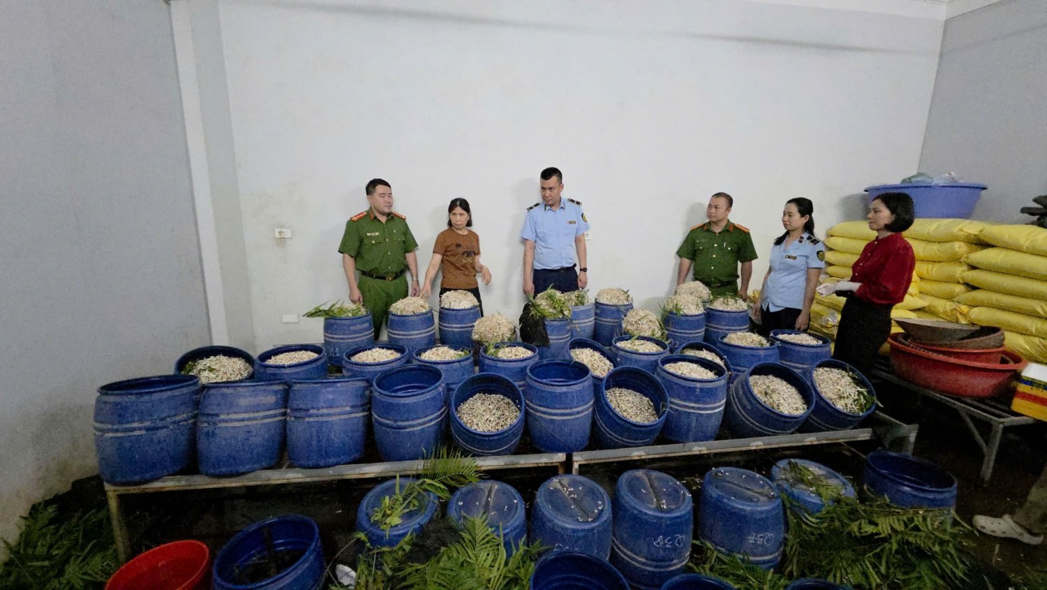 Lực lượng chức năng TP Quảng Ninh ph&aacute;t hiện xử l&yacute; xưởng gi&aacute; đỗ sử dụng chất cầm
