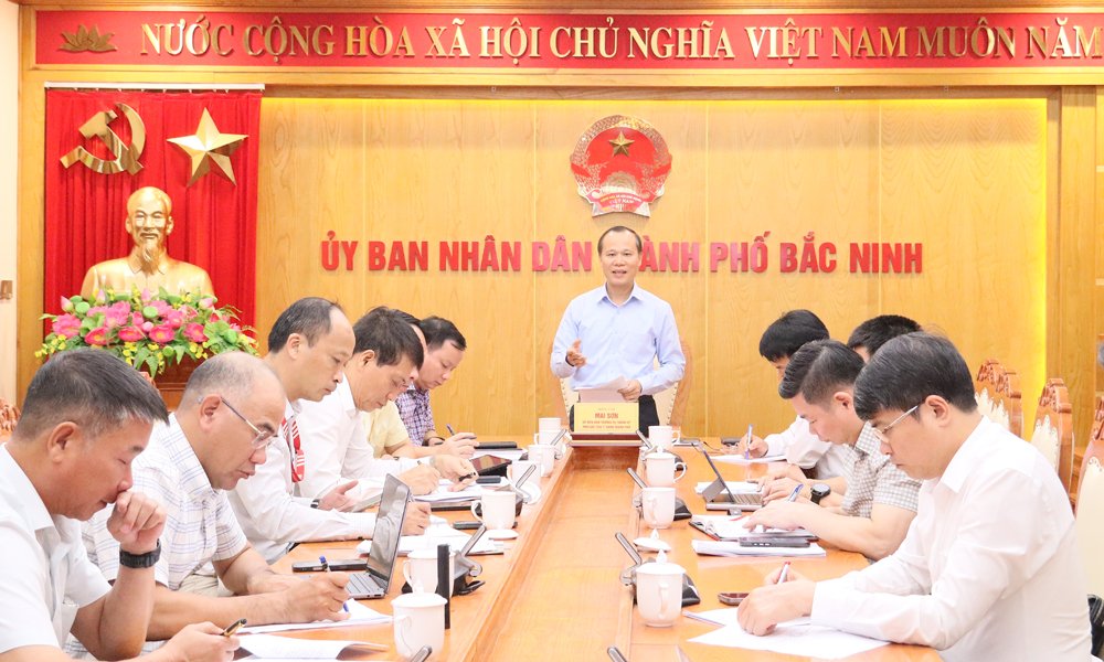 Đồng ch&iacute; Mai Sơn, Ủy vi&ecirc;n Ban Thường vụ Th&agrave;nh ủy, Ph&oacute; Chủ tịch Thường trực UBND th&agrave;nh phố ph&aacute;t biểu tại buổi l&agrave;m việc.