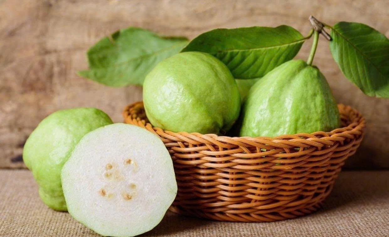 Với mức gi&aacute; rẻ v&agrave; dễ t&igrave;m, quả ổi lại sở hữu h&agrave;m lượng dưỡng chất đ&aacute;ng kể, thậm ch&iacute; nổi bật hơn nhiều loại tr&aacute;i c&acirc;y c&oacute; gi&aacute; th&agrave;nh cao tr&ecirc;n thị trường.