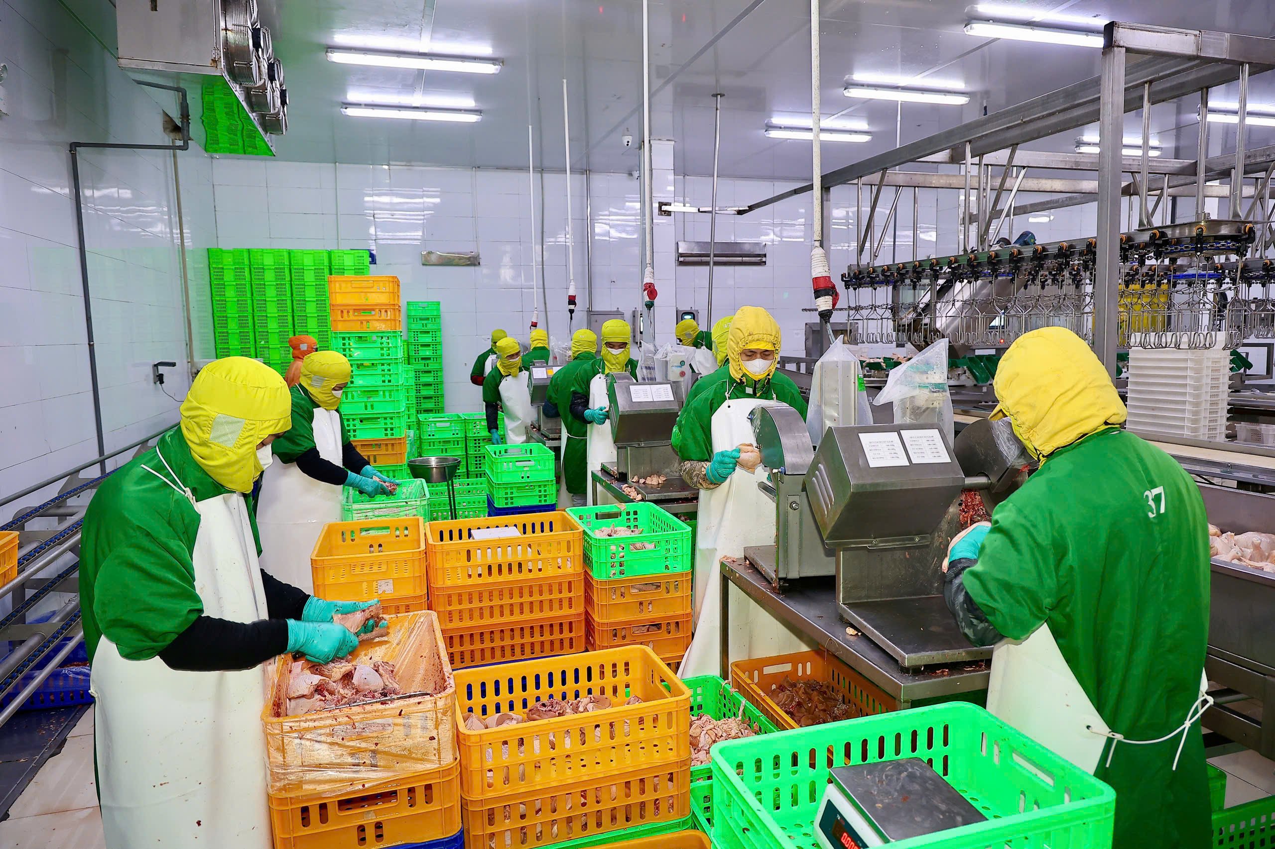 C&ocirc;ng ty Cổ phần Giống gia cầm Lượng Huệ hiện vận h&agrave;nh cơ sở giết mổ gia cầm với c&ocirc;ng suất 1.000 con/giờ.